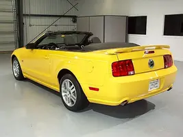mustang6.webp