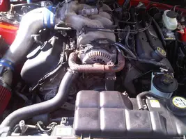 IMG00137-20100810-1645.webp