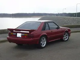 stang4.webp