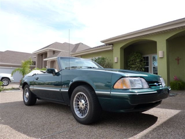 2010 Michael's Mustang 01.webp