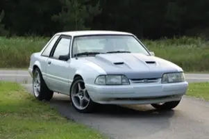 stangnet photo.webp