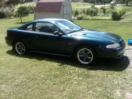 stang 1.webp