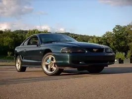 stang 2.webp