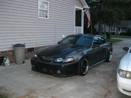Mustang4.webp