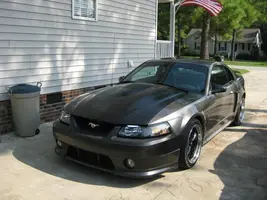 Mustang5.webp