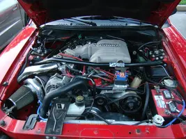 cobra4.webp