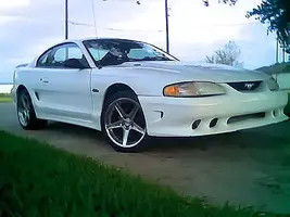627444540_l.webp