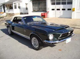 shelby1.webp