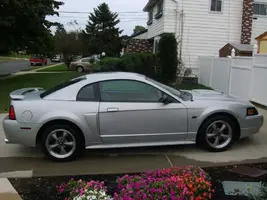 Mustang Forsale 002.webp