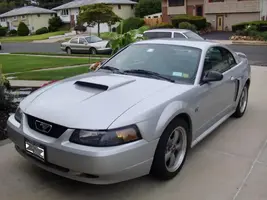 Mustang Forsale 005.webp