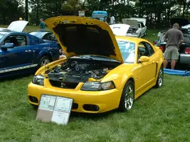 Cobra 001.webp