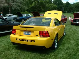 Cobra 004.webp