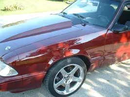 mustang 003.webp