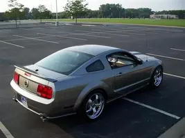 Mustang 081 (Small).webp