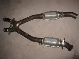 midlength bassani.webp