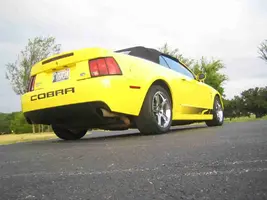 copy steeda 044.webp