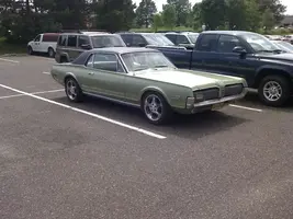 my Cougar.webp
