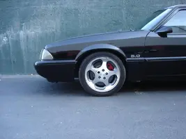 DSC00012 (2).webp