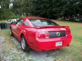 newstang1.webp