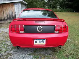 newstang4.webp