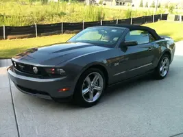 Stang.webp