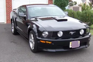 Mustang Pictures 009.webp