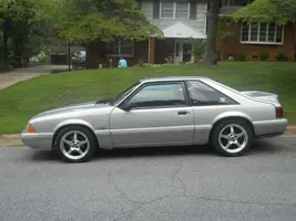 mustang 12.webp