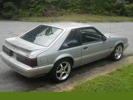 mustang 10.webp