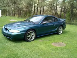 Cobra_1.webp