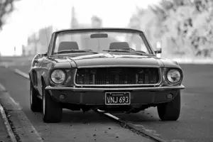 Mustang b-w on tracks 2.webp