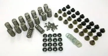 TFS-2500525.webp