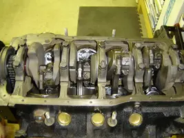searay t-hull- ebay electronics etc 016.webp
