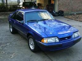 blue.webp