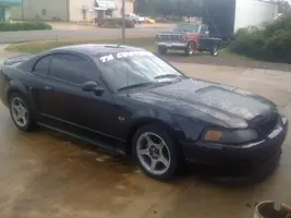 mustang new pic 025.webp