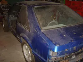 mustang 002.webp