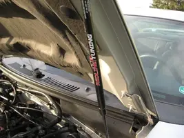 03 GT 011.webp