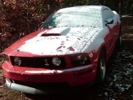 Winter.webp