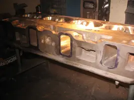 IMG_1503.webp