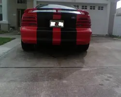 rear.webp