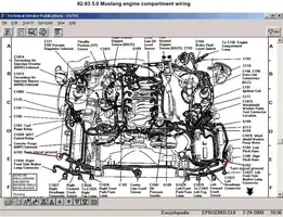 Turn Signal grounds and engine comartment wiring.webp