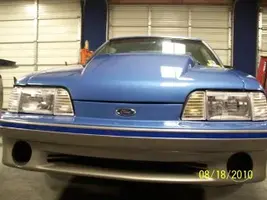 Mustang.webp