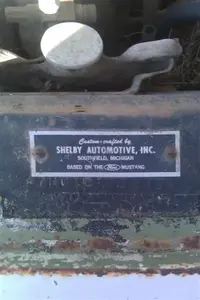 Shelby Plate (Medium).webp