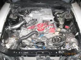 mustang tt.webp