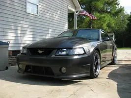 Mustang7.webp
