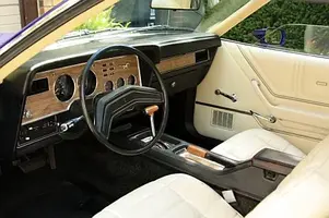 mustang 3.webp