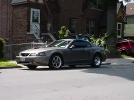 Side w. Pro Stars.webp