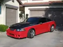 mustang1.webp