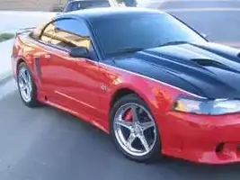 mustang 2.webp