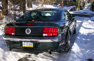 100_6463.webp