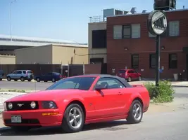 Mustang_St_Louis.webp